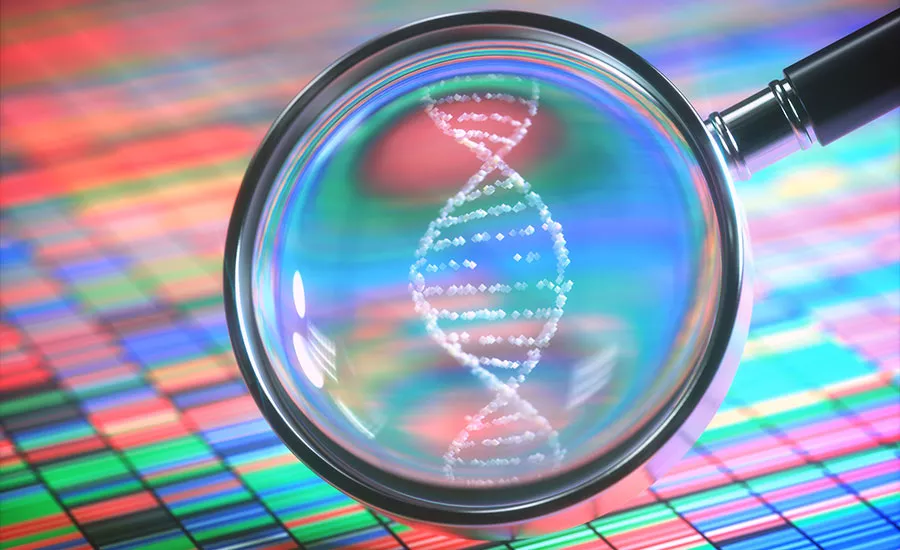 STI Detection and Testing Screening guidelines for different populations | The Future of STD Testing in Bangkok, Pattaya, Phuket, Thailand