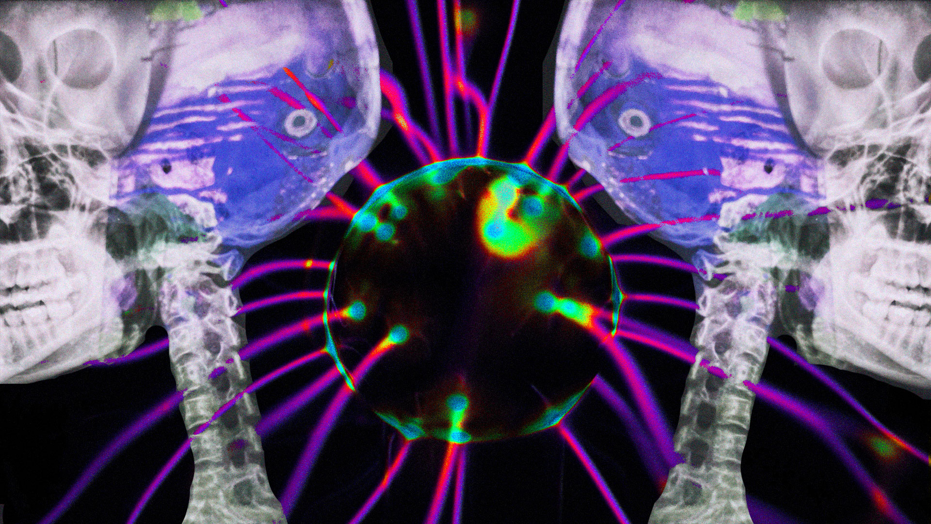 PULSE vision