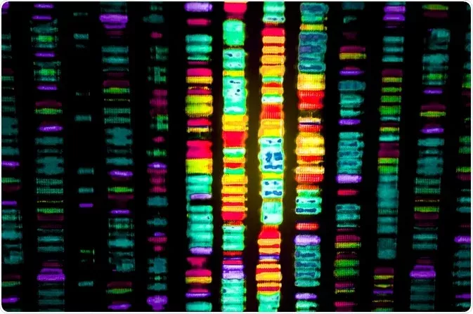 The Advantages of Using Multiplex PCR for the Simultaneous Detection of 14 Sexually Transmitted Diseases | Most advanced DNA test in Bangkok, Pattaya, Phuket, Thailand